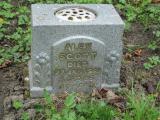 image of grave number 548658